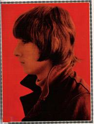 Ronnie Bird